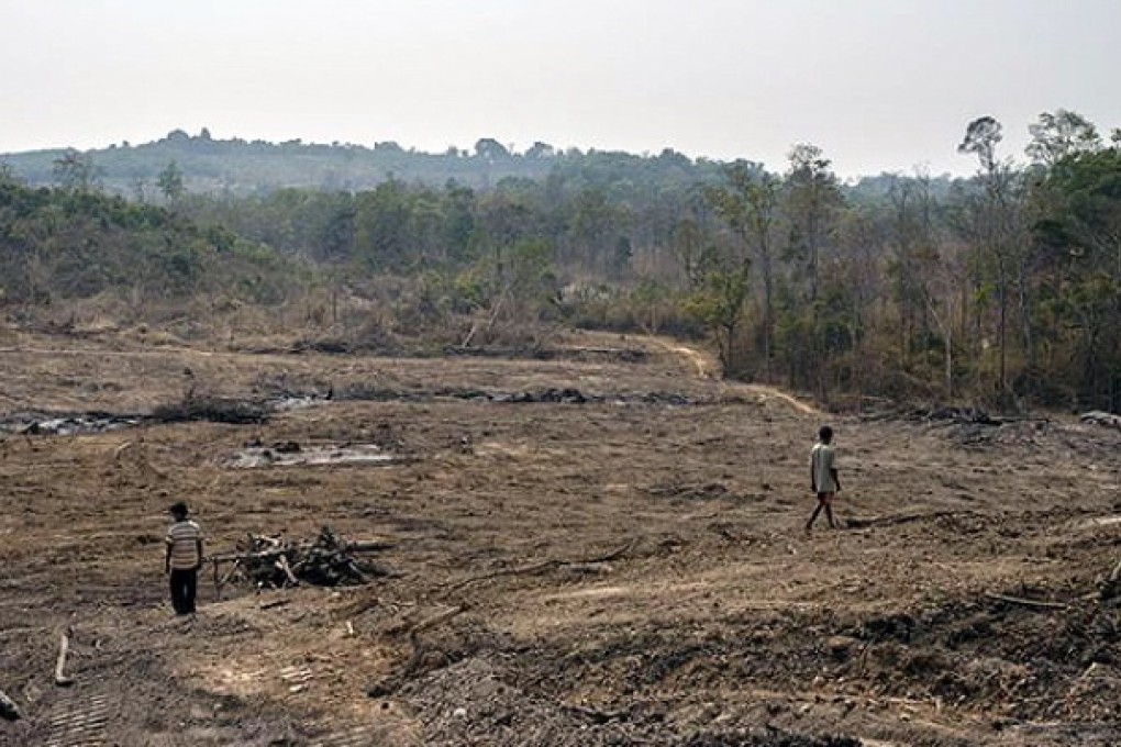 Villagers walk through recently cleared forest purportedly inside a HAGL rubber plantation in Cambodia. Photo: AFP
