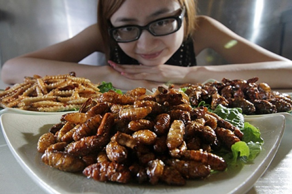 Law Ting from the People of Yunnan Restaurant in San Po Kong shows off some of their insects cuisine. Photo: Felix Wong