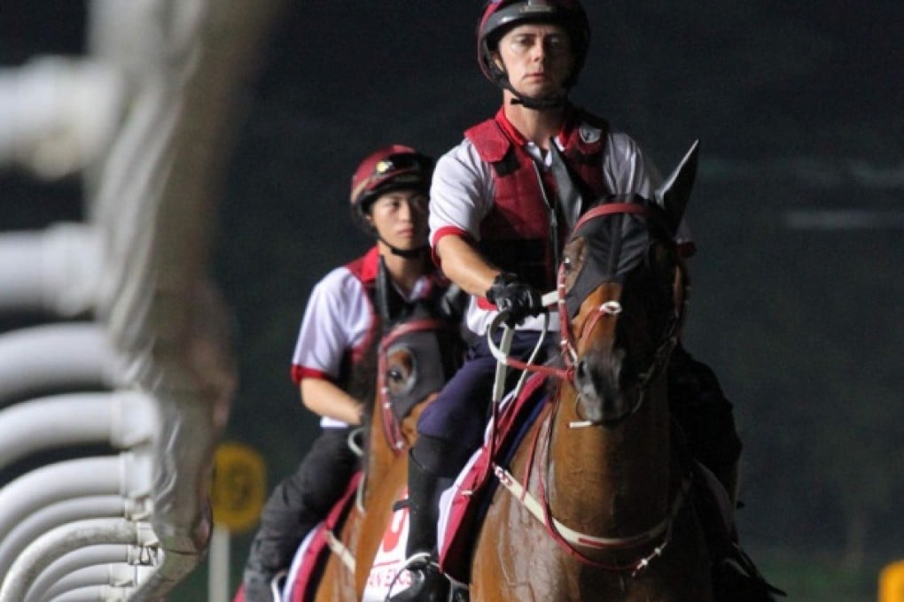 Dan Excel (front) and Military Attack head back the stables after their steady gallops. Photo: Kenneth Chan