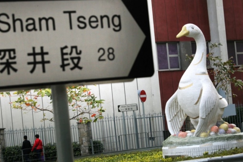 Calls have been made for this duck-like goose statue to be made to look more like a goose. Photo: May Tse