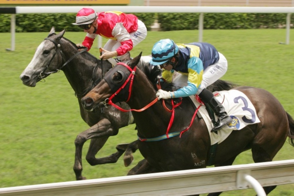 Croesus hasn't disgraced himself since winning his first outing as a griffin in June 2011.