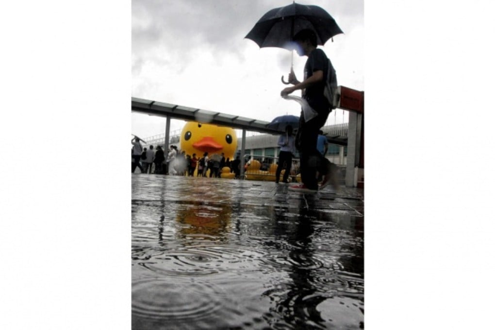 It was weather for ducks, not investors, in the city yesterday. The rainstorm warning was issued just after 4am. Photo: Felix Wong