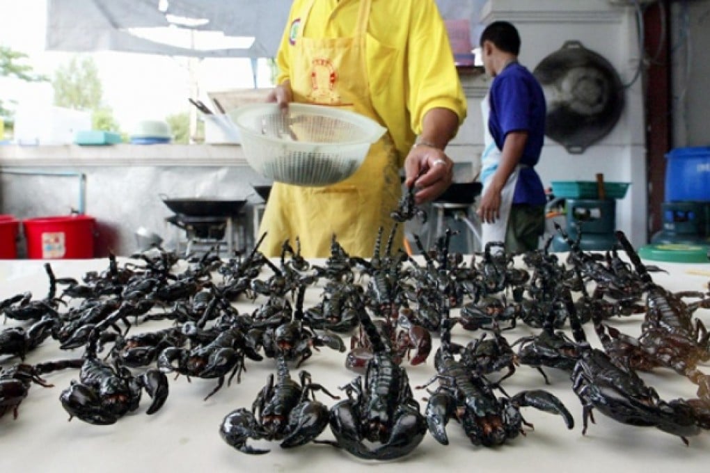Fried scorpions at an Insects Inter outlet in Bangkok, Thailand. Photos: Alfie Goodrich; AFP; Felix Wong