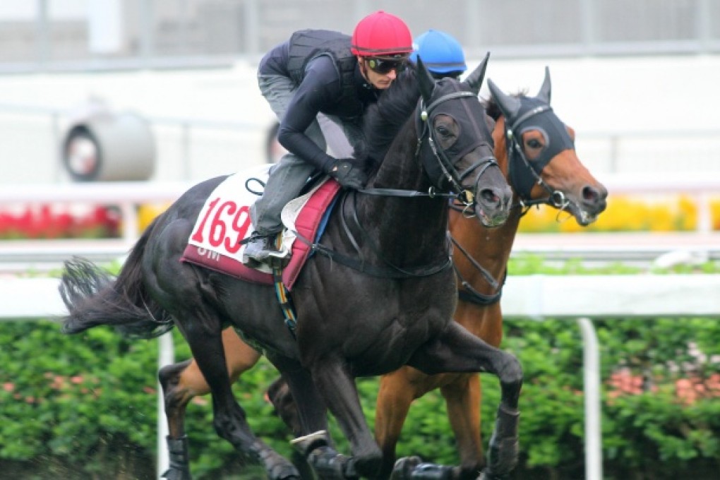 Zac Purton gives Dominant a solid hitout on the course proper ahead of Sunday's Champions & Chater Cup. Photo: Kenneth Chan