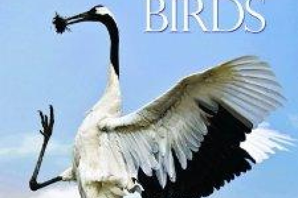 Book review: The World's Rarest Birds, by Erik Hirschfeld, Andy Swash and Robert Still