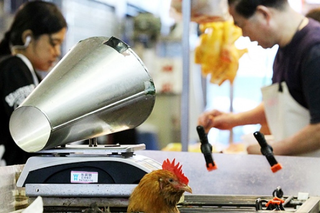 Chickens are sold at a a live poultry stall in Kowloon City wet market. Photo: Edward Wong