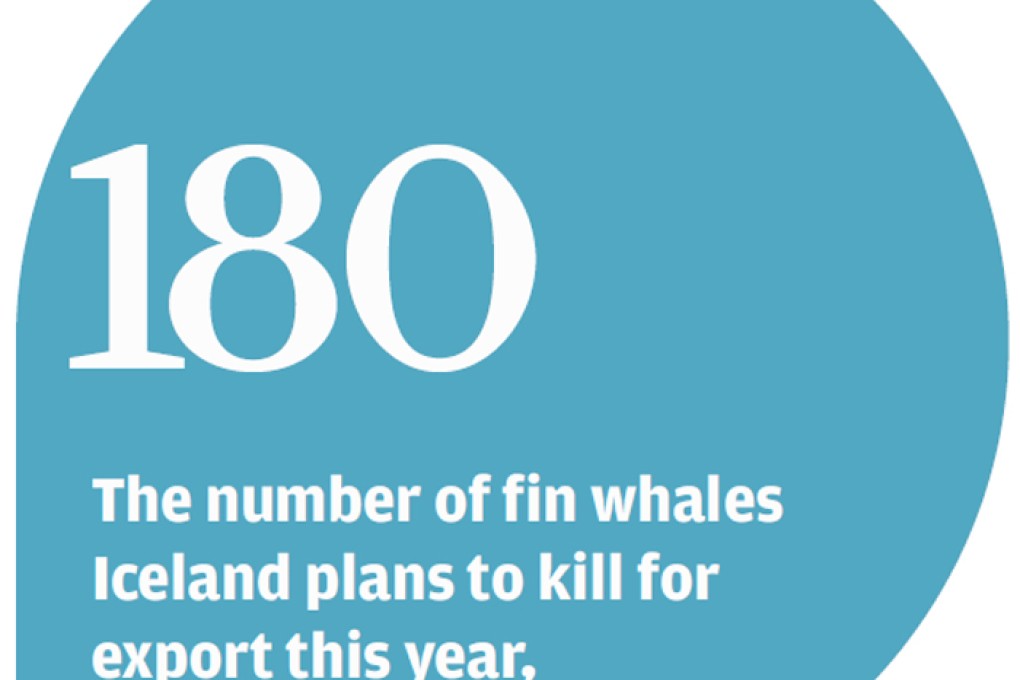 Dog treats made from whale meat prompts protest in Japan