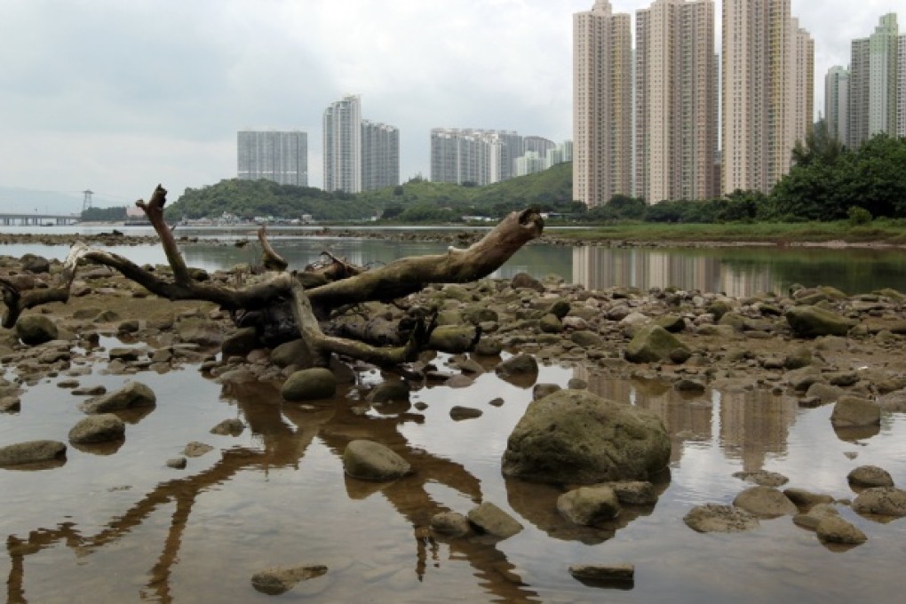 Tung Chung River. Photo: Nora Tam