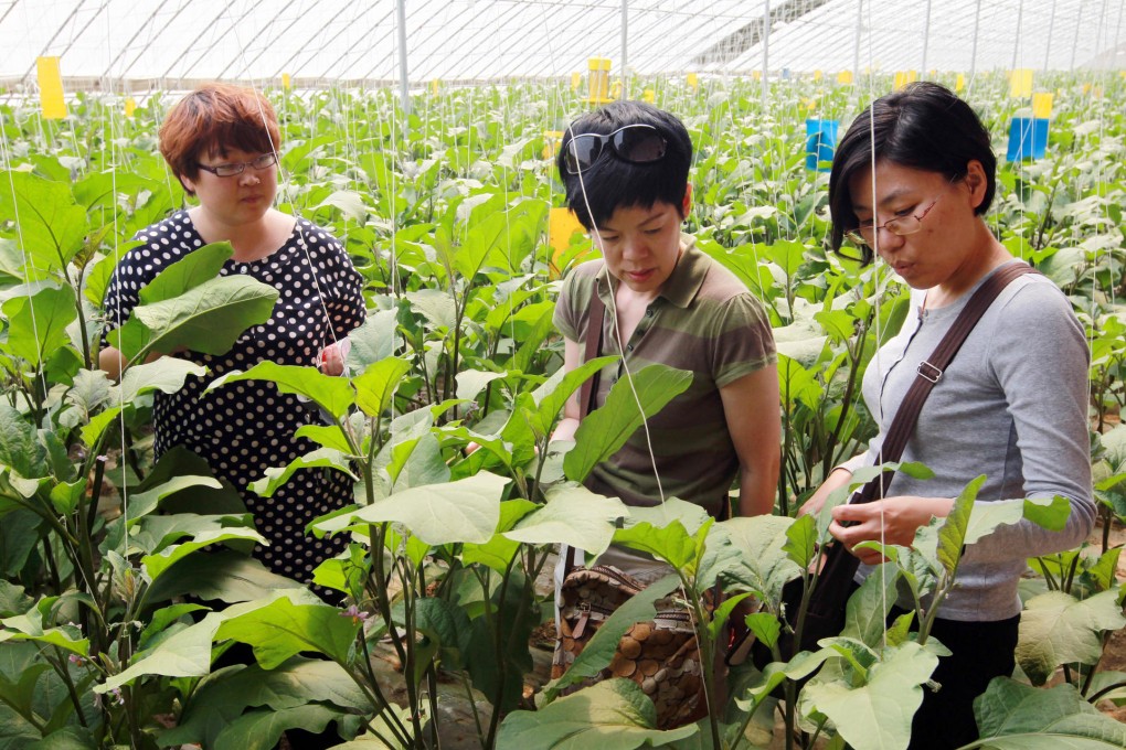 How food scandals are forcing Beijingers to search out organic alternatives