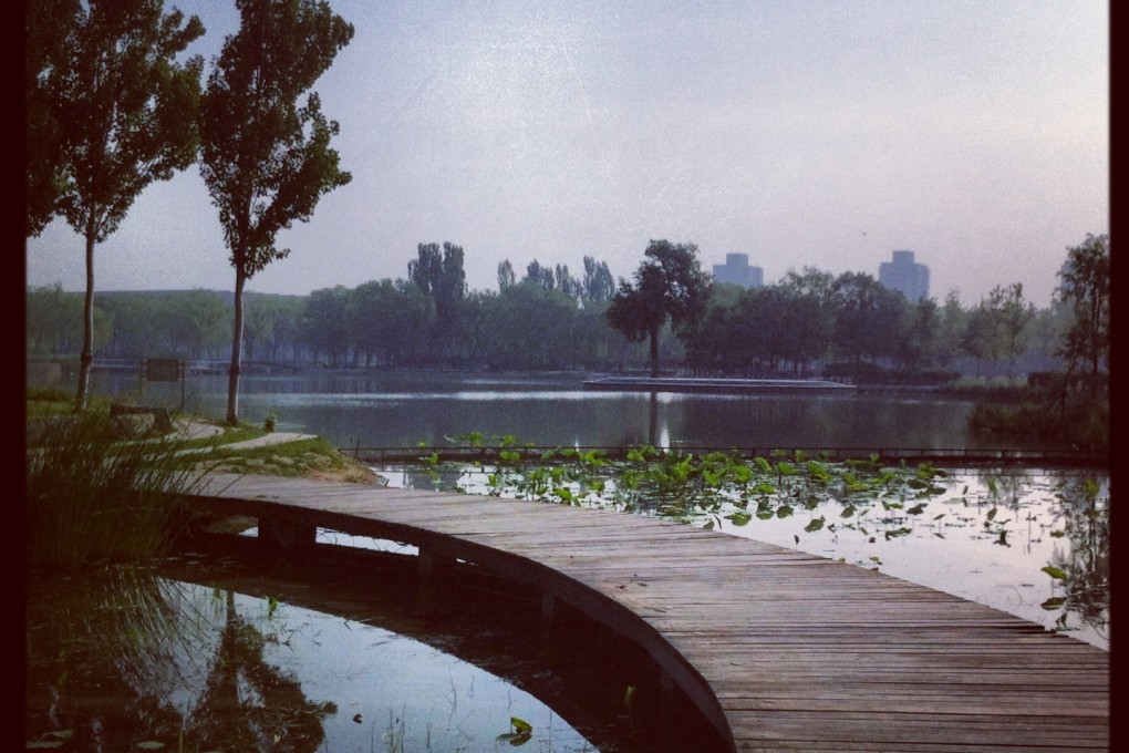 The 40-hectare Haidian Park (海淀公园) is an oasis of green and calm. Photo: Jeanette Wang