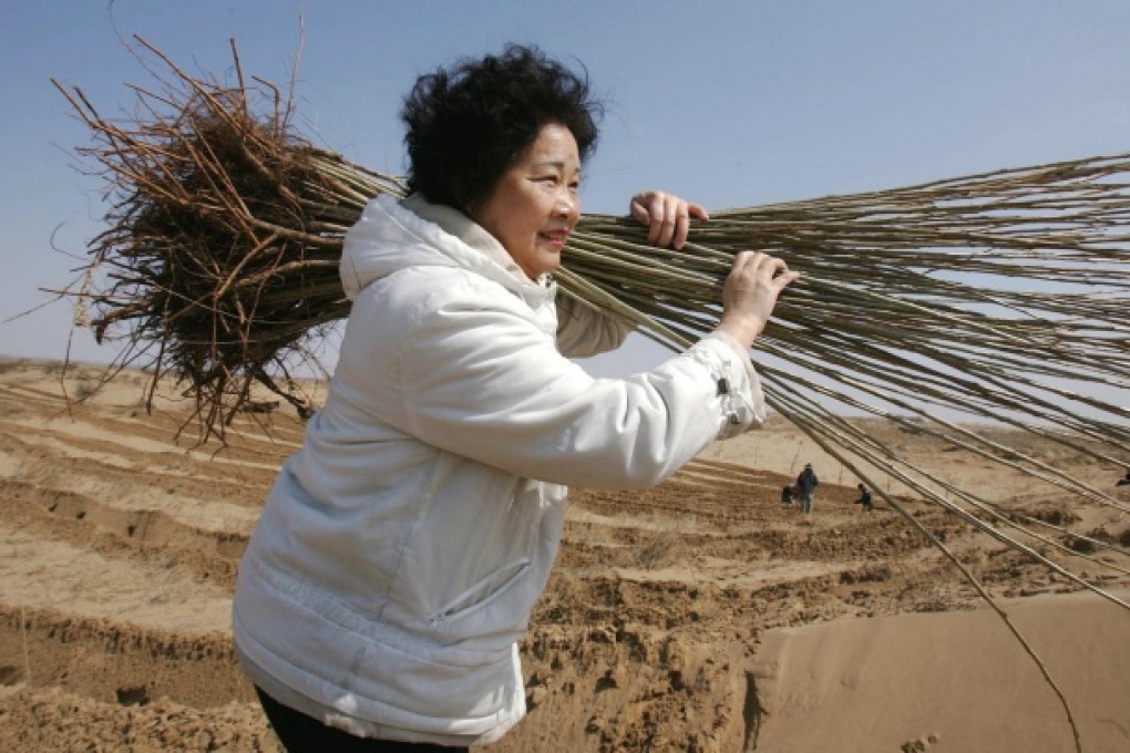 Yi Jiefang carries out her mission to plant trees across the Inner Mongolia deserts. Photo: SCMP
