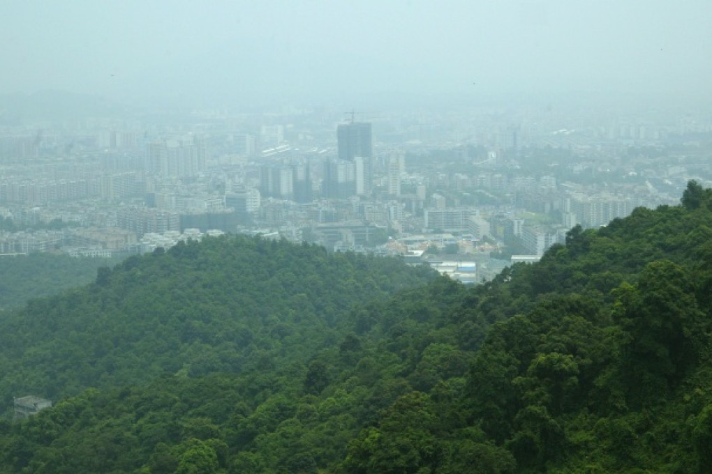 A plague of caterpillars at Baiyun Hill in Guangzhou is scaring locals and tourists away from the city's only national scenic park.