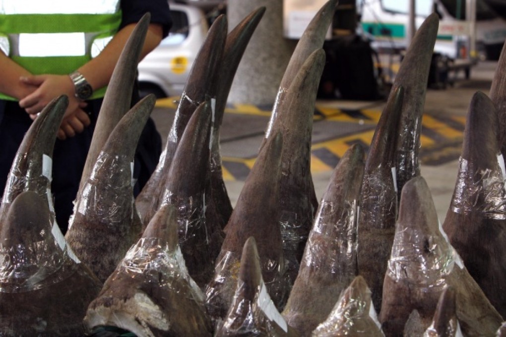 Rhino horns seized in Hong Kong. Photo: Dickson Lee