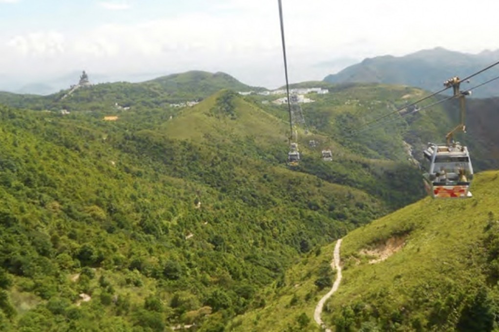 Flying Fox still keen on zip-line attraction