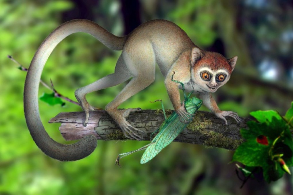 An artist's rendering of the animal in its habitat. Photo: AP