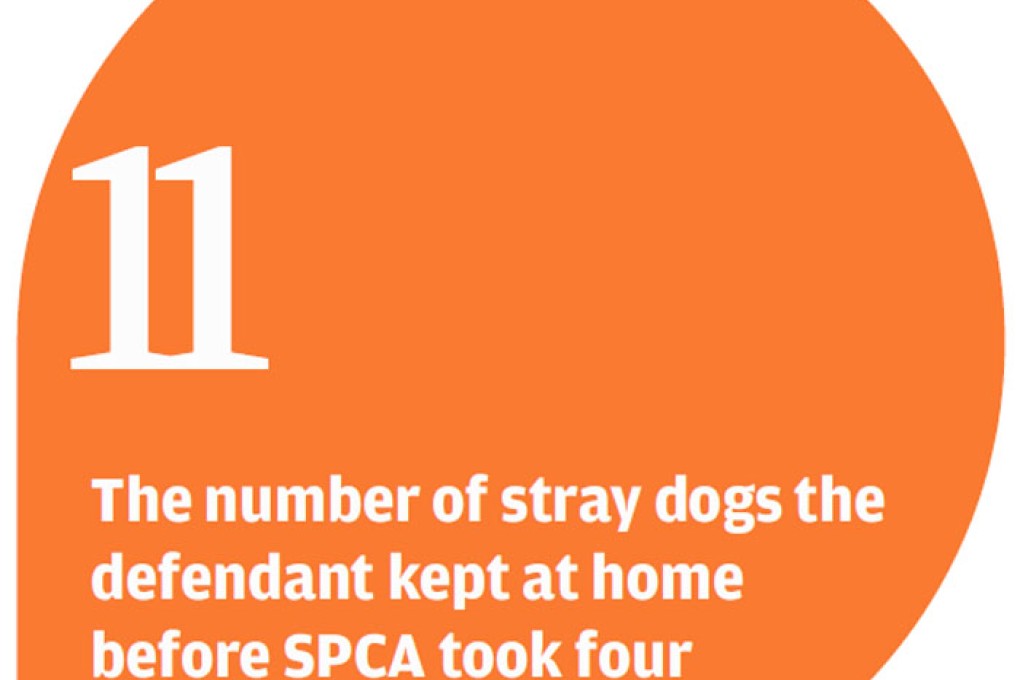 Woman admits tying dogs' mouths to stop barking