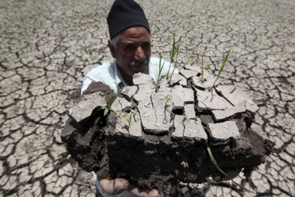 An Egyptian farmer about 120 kilometres from Cairo shows the dryness of his land on a farm formerly irrigated from the Nile. Photo: Reuters