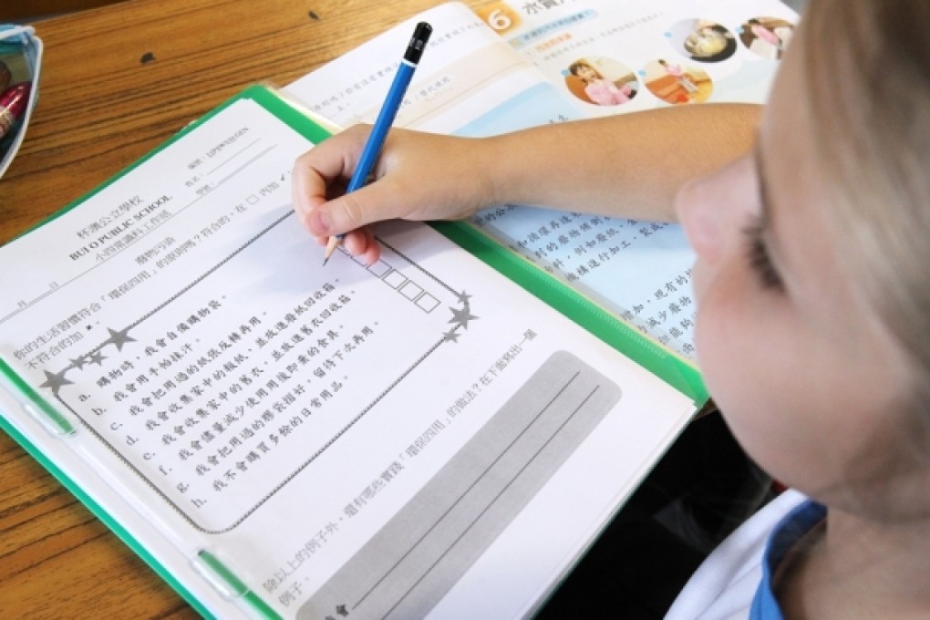 A primary 3 student having Chinese lesson at local school in Pui O, Lantau Island. Photo: K. Y. Cheng