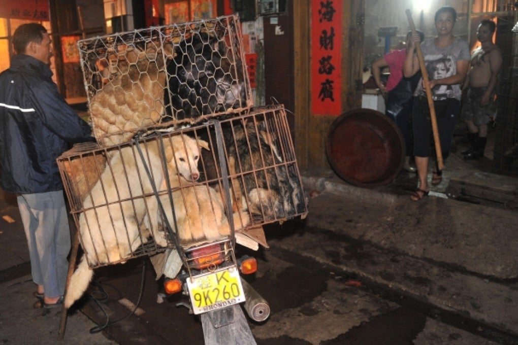 Cages of dogs are delivered to an unenviable fate at a market in Yulin - a long tradition in the city.