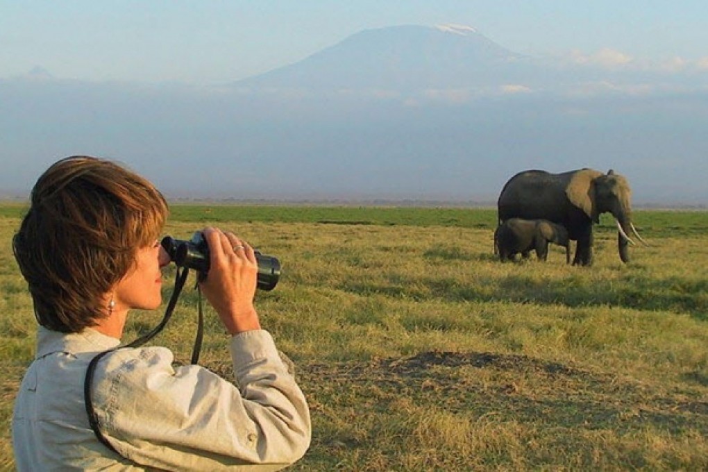 Joyce Poole, a world authority on elephants, has warned that Chinese demand for ivory is driving the worst poaching in history, with more than 7 per cent of the world’s elephants killed for their tusks in the space of a year. Photo: SCMP