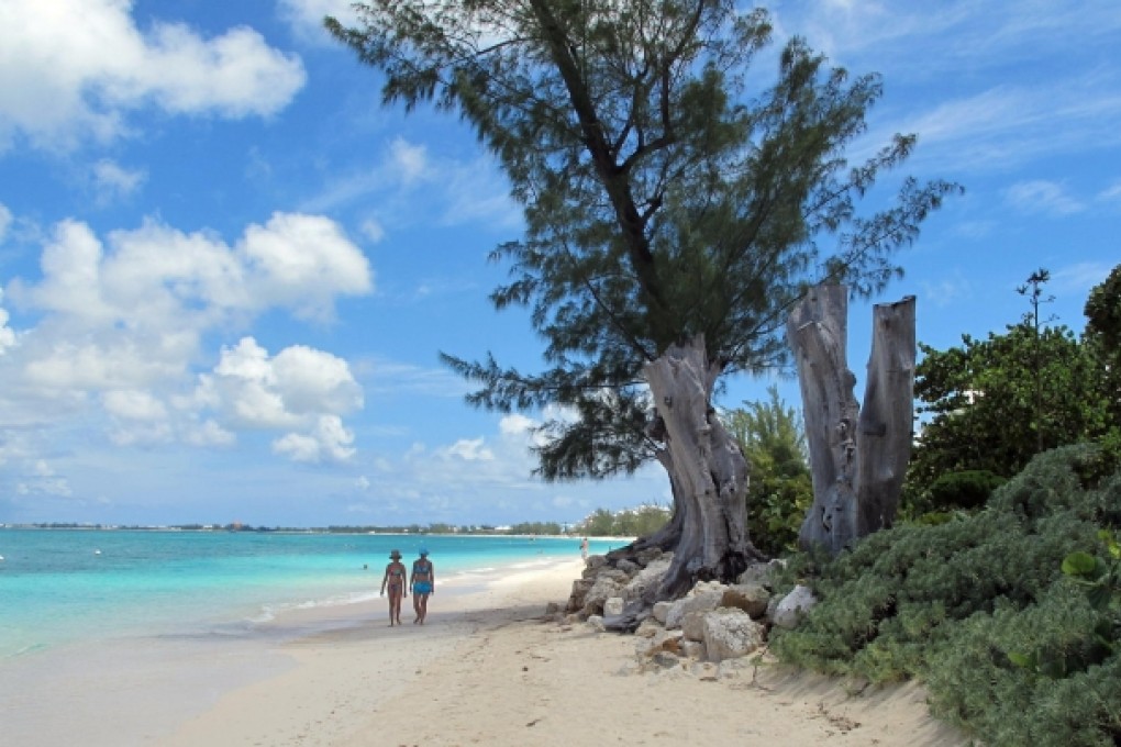 Call for global information system to curb tax evasion