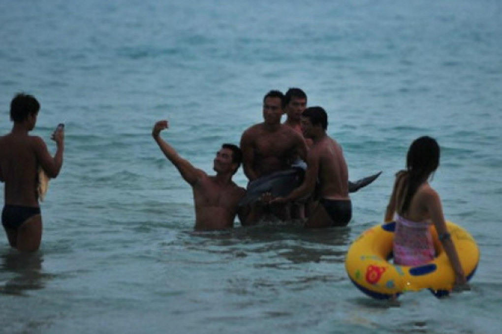 Tourists seen taking photos of themselves with the dolphin, Sanya, June 16, 2013. Screenshot from Sina Weibo