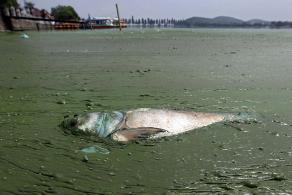 Excessive levels of chemical pollutants were found in the mainland's rivers and lakes. Photo: Reuters