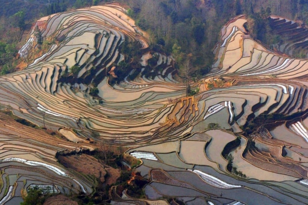 The Honghe Hani terraces of Yuanyang county in Yunnan. The addition takes the number of World Heritage Sites in China to 45. Photo: Xinhua
