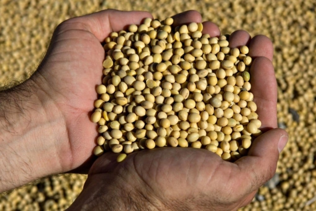 Authorities have defended the safety of GM beans. Photo: Bloomberg