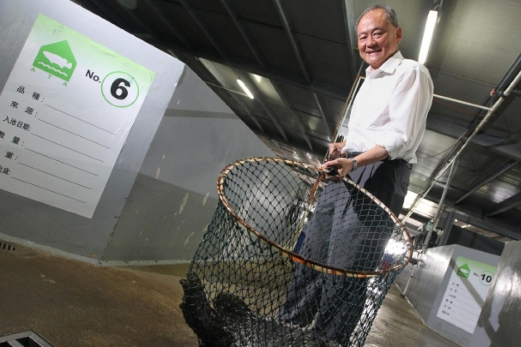 Retailer and fisherman Mark Kwok with one of the thousands of giant groupers at his fish farm in Lau Fau Shan. Photo: Felix Wong