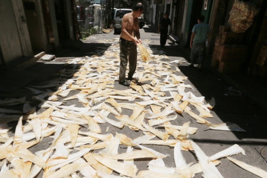 A worker arranging shark fins at Chung Ching Street in Sheung Wan. Photo: SCMP