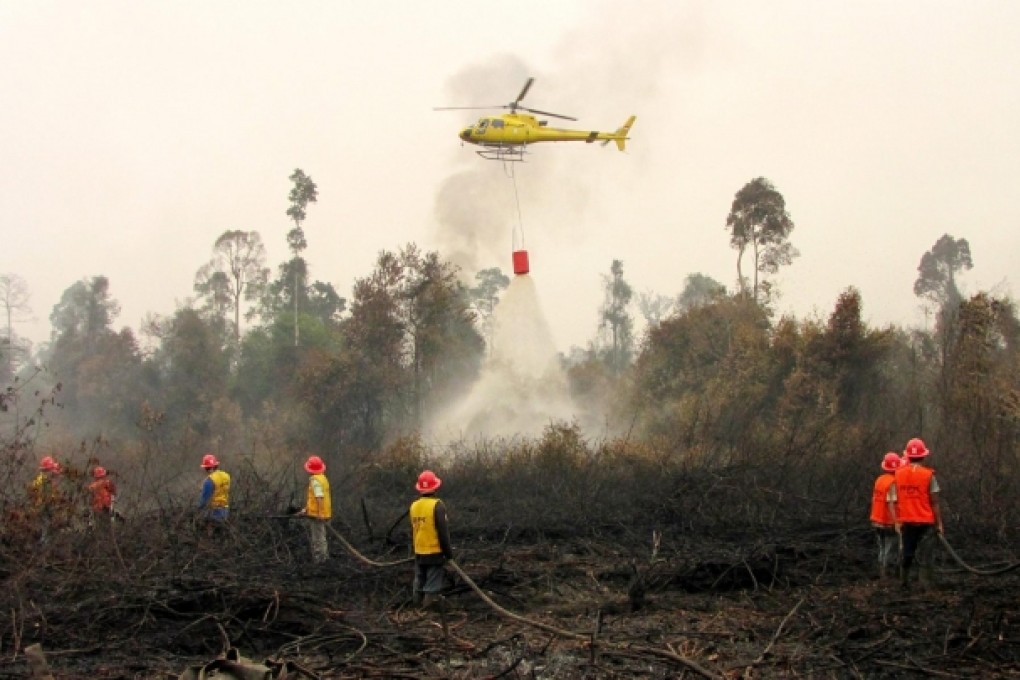 More fires are expected as political campaigning begins. Photo: EPA
