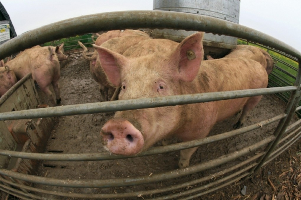 Agriculture will consume nearly 40 per cent of the EU’s 960 billion euro (HK$9.8 trillion) budget for next year-2020. Photo: Reuters