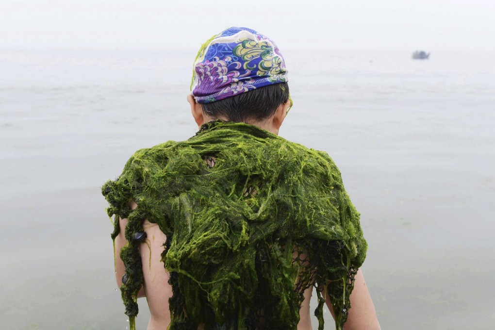 Algae on a swimmer in Qingdao, Shandong. A proposed amendment to the Environmental Protection Law limiting who can lodge public interest lawsuits has angered many. Photo: Reuters