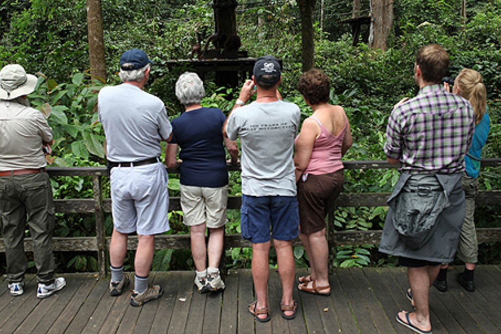 Visitors look at orangutans at the Sepilok Orang Utan Sanctuary in Sandakan, in the Malaysian Borneo state of Sabah. Photo: AFP