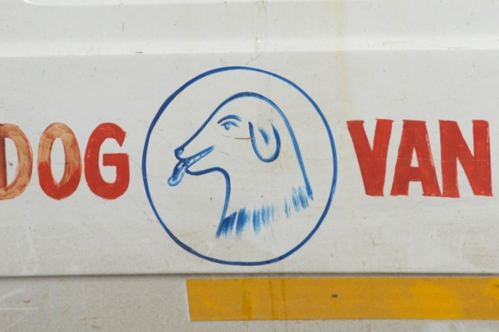 A stray dog inside a local authority van in Ahmedabad. Photo: AFP