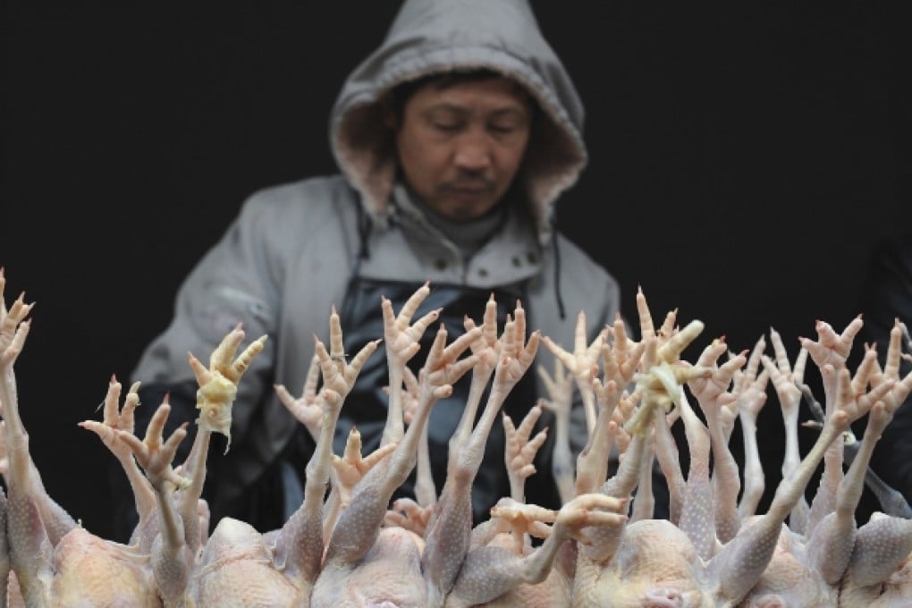 A vendor stands behind slaughtered chickens at a poultry market in Hefei, Anhui province. Photo: Reuters