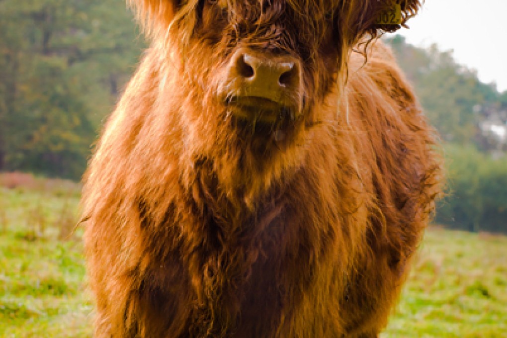 Sportsmanship is no longer a sacred cow