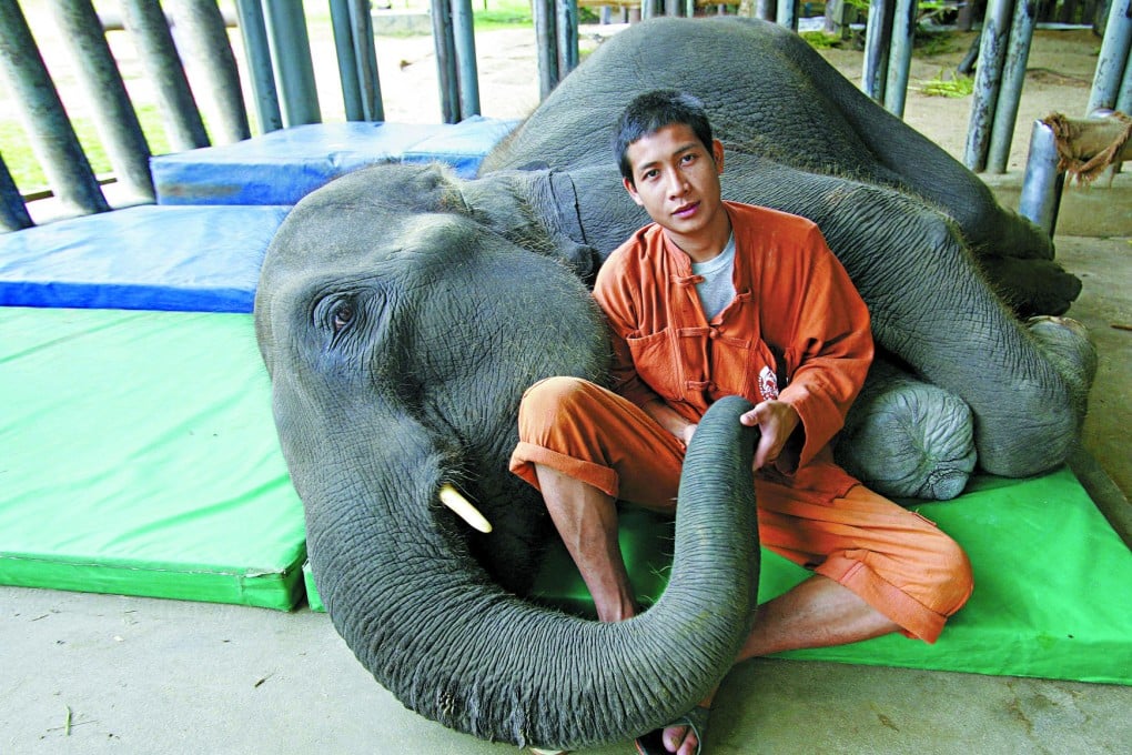 Mosha and her keeper, Palahdee Sujaritsuchada, at the FAE hospital in Lampang, northern Thailand.