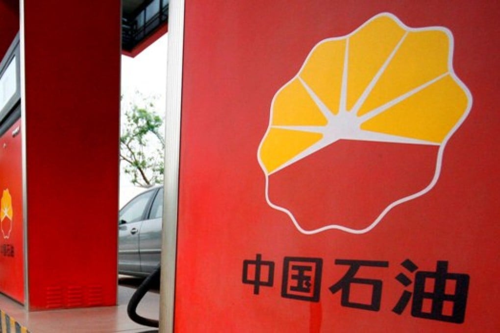 Nearly 2,000 workers, including 300 from PetroChina and 1,500 from the local government office, have been sent to repair the pipeline. Photo: Reuters