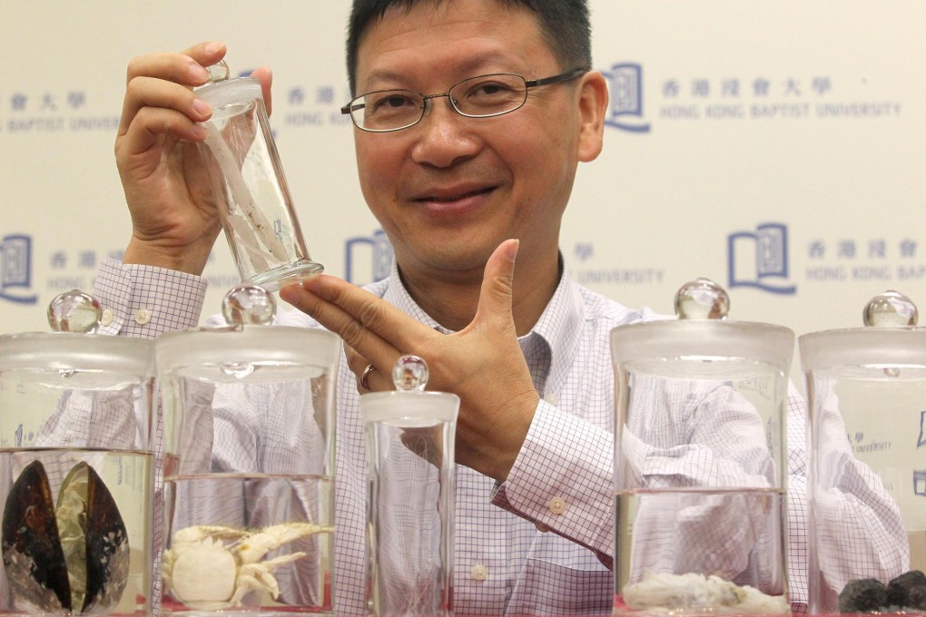 Qiu Jianwen with some of the specimens he found at the bottom of the South China Sea. Photo: K. Y. Cheng