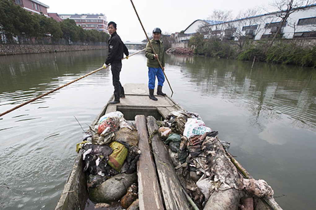 Workers scour a Jiaxing river, in eastern China's Zhejiang province, for dead pigs. Photo: AP