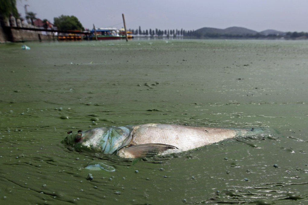 Following a series of pollution threats, residents could be in for a long battle for the environment. Photo: Reuters