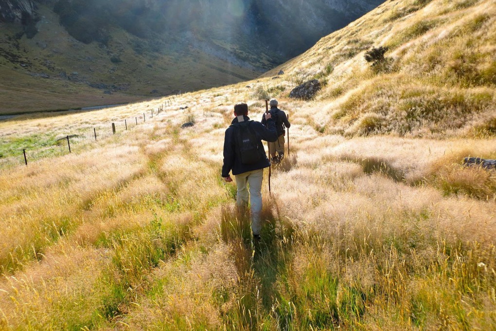 Minaret Station, New Zealand