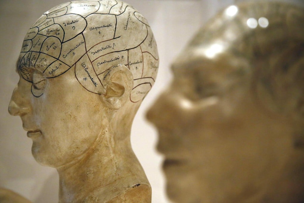 Plaster phrenological models of human heads. Studies have found that psychopaths have distinct brain structures that show up in MRI brain scans. Photo: Reuters