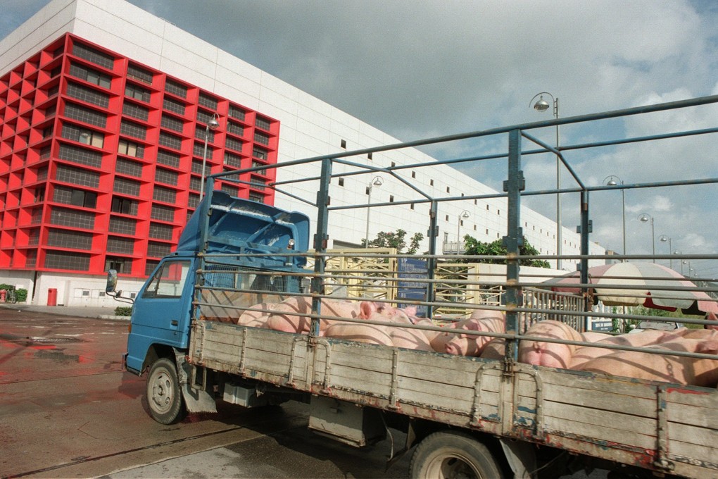 A truck carrying a load of pigs arrives at Sheung Shui slaughterhouse.