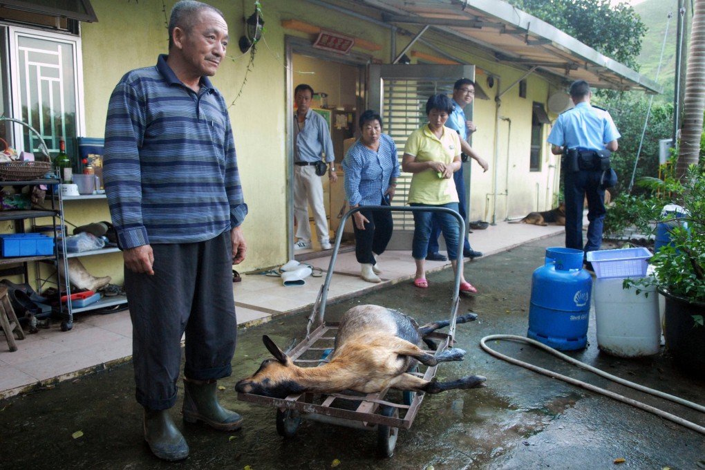 The man who was hurt and the dead goat. Photo: SCMP