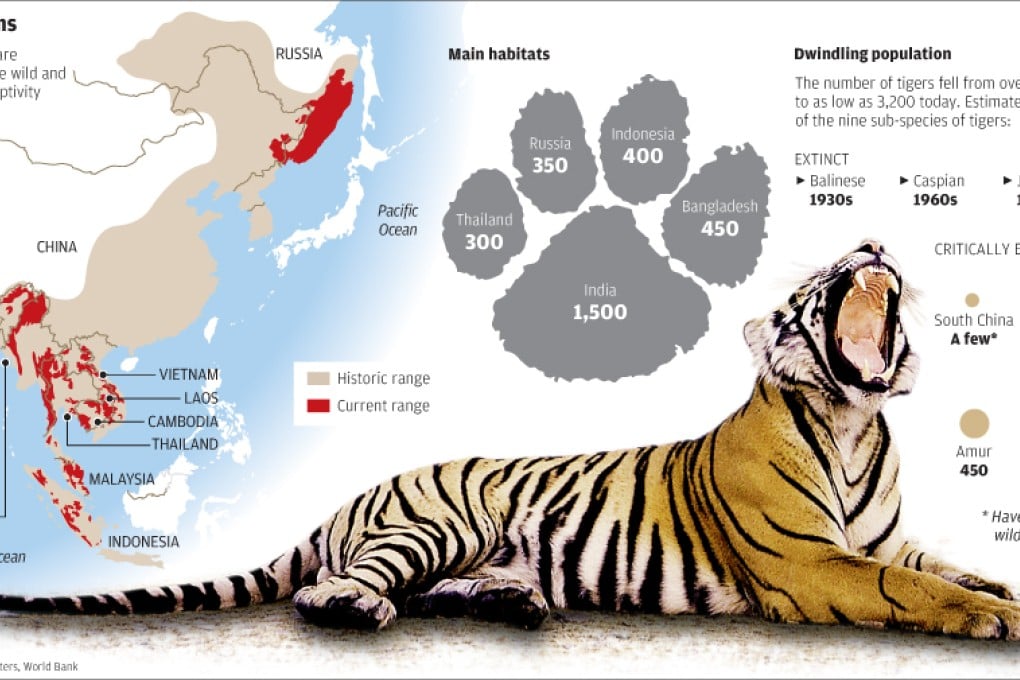 Tiger populations