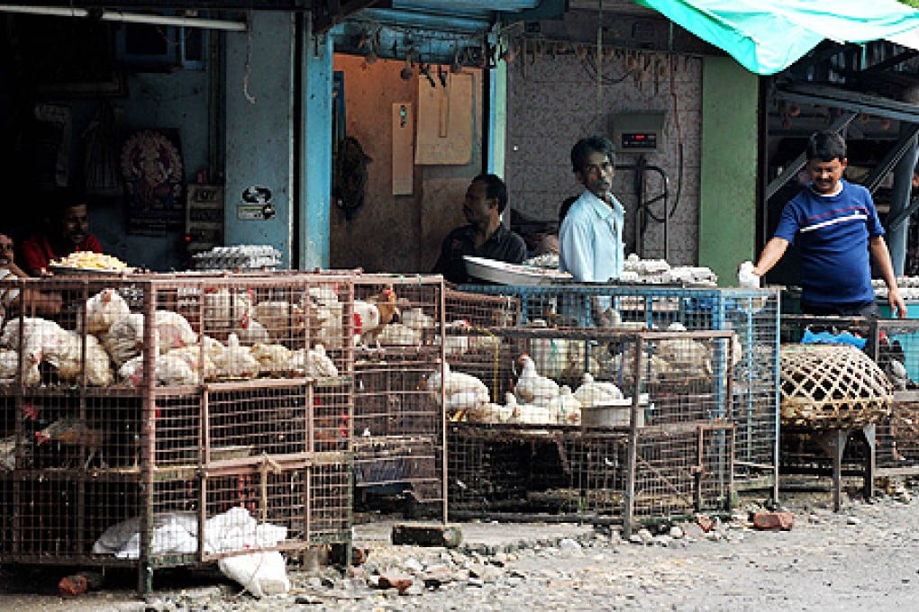 Indian vendors wait for customers at a local chicken market. Indian police have been mobilised along the border to stop poultry imports from Nepal after Nepal reported an outbreak of bird flu in poultry in July. Photo: AFP