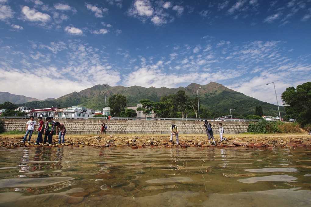 Lung Mei, in Tai Po, where the government’s plan to build an artificial beach has attracted opposition from environment activists. Photos: Martin Williams; SCMP Pictures; Royal HK Police; Antony Dickson
